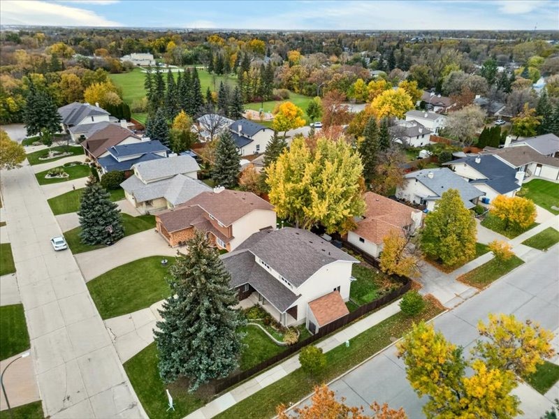 Aerial view of 3 Arbroath Drive and its mature neighbourhood